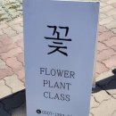 그로브블룸 이미지