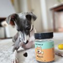 이너핏 | 펫밀리 이너핏 기관지부터 간까지 챙기는 강아지영양제