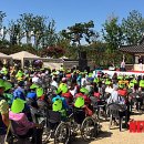 순천만 힐링 이미지