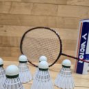 도림동 배드민턴클럽 앞 | 깃털콕 대신 빅터 인조 배드민턴 셔틀콕 리얼 후기