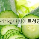 오이 효능 칼로리 부작용 오이물 알레르기 오이수 이미지