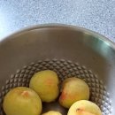 순택 농장 이미지