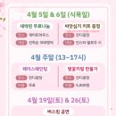 [세종]2025 베어트리파크 봄꽃축제(일정,주차,할인) 가볼만한 곳/ 내돈내산 후기