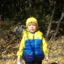 태석농장 이미지