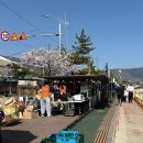 GS25(진해속천점) | 2026년 진해 군항제 감성포차 세모로 냉삼집 | 바다 보면서 냉동삼겹살을? 가격은 •••