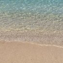 대권민박 이미지