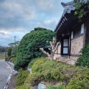 목향민박 이미지