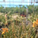 남사농장 이미지