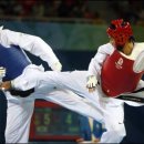 거인태권도 이미지