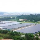 정수태양광발전소 이미지