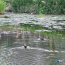 동화천자전거길 이미지