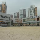 한홀초등학교 이미지