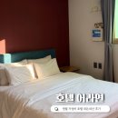 영월 숙소 호텔 어라연 내돈내산 후기 : 영월 가성비 호텔