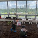 원천목장 이미지