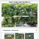 엘세븐바이오 네이버블로그