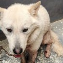 해남동초등학교 정문 이미지