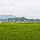 (주)시루산 이미지