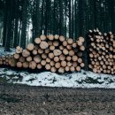 유명림행정사사무소 이미지