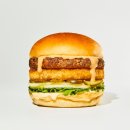 미디어피쉬 이미지