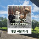 온천농장 | 대만 이란투어 후기 타이베이 근교 당일치기 버스투어 추천!