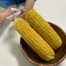 위드윤영어 | [주간일기] 7/13 - 7/25 * 바쁜 와중에 인쇼 실컷하며 지낸 2주