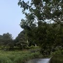 화심천 네이버블로그