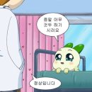생존 목적 운동이 필요한 분들을 위한 답십리 PT &lt;팀웰니스 PT 스튜디오&gt; 100% 내돈내산 후기