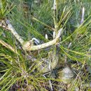 정감농장 이미지