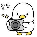 넘버25거북섬점 이미지