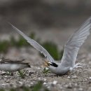 서유농원 이미지