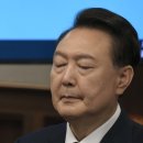 수주머리나라 이미지