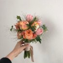 브리즈나인 이미지