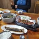 겨우리애견 이미지