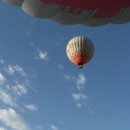 하늘돼지 이미지