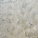 도암중학교 | 남파랑길 83코스 [강진] 구 목리교~ 도암농협 (2023.1.11일 오전)