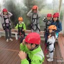 뉴질랜드 짚라인 Canopy Tour 잘 다녀왔습니다^^ _ Original Team [타우랑가 비전유학원] 이미지