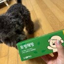 오리와 장어 | [닥터온펫] 강아지습식캔 습식사료 오리+장어 후기