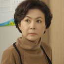 금보라