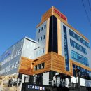 서울승마힐링캠프 이미지