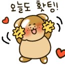 힙댕 네이버블로그