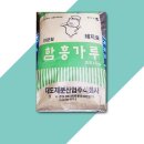 대도가 이미지