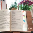 러시아의 아버지, 톨스토이 이미지