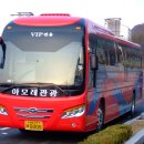 아모레관광 이미지