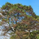 포천 관아터 이미지