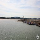 남당항 이미지