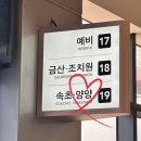 [양양] 파워P의 낙산사 템플스테이🪷