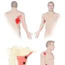 누리에뜰 이미지