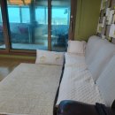 님 바래기 이미지