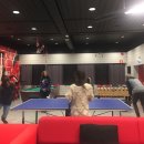 트램 탁구클럽