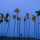 바람이 불어오는 곳 이미지